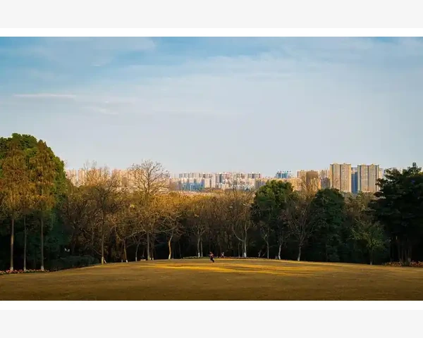 动荡情绪与运动频繁使身体不适，如何调理延迟月经？